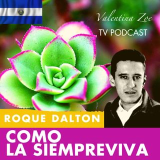 COMO LA SIEMPREVIVA 🌷🌄 ROQUE DALTON | Mi Poesía es como La Siempreviva Roque Dalton | Valentina Zoe