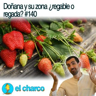 Doñana y su zona ¿regable o regada? #140