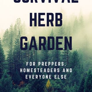 Show 76: Growing Your Survival Herb Garden