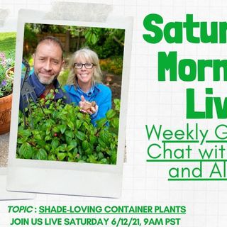 Saturday Morning LIVE 6-12-2021 Garden Chat - Shade Loving Container Plants