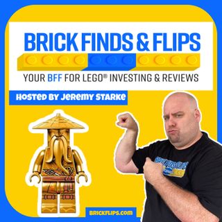Brick Finds And Flips Show Introduction