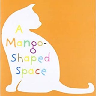 A Mango Shaped Space by Wendy Mass