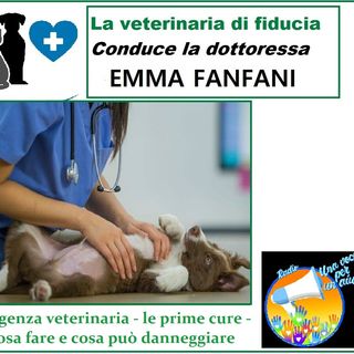 "LA VETERINARIA DI FIDUCIA" dott.ssa EMMA FANFANI - Emergenza veterinaria