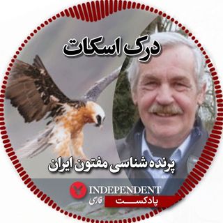 درک اسکات؛ پرنده شناس مفتون ایران