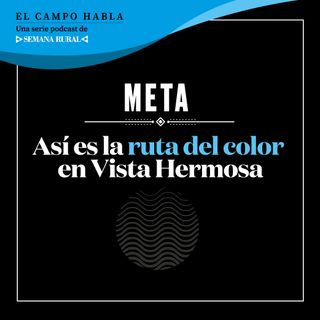 Meta: Así es la ruta del color en Vista Hermosa