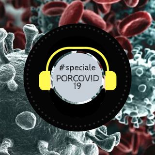 #Speciale - Porcovid-19