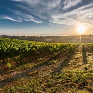 Nel "Fit for 55" della UE suolo e agricoltura saranno decisivi