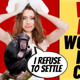 Woman Wants To Marry Zoo Chimp, Other Weird News
