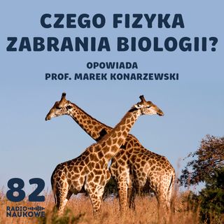 #82 Architektura ciał - jak biologia negocjuje z fizyką? | prof. Marek Konarzewski