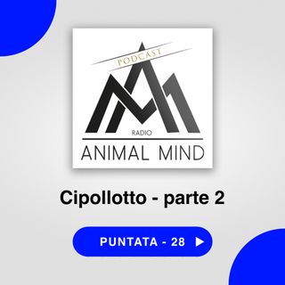 A.M. Cipollotto parte 2