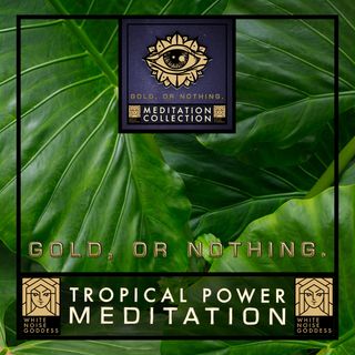 Tropical Power Meditation | Tropical Percussion Music | Tribal Ambience | Recharge