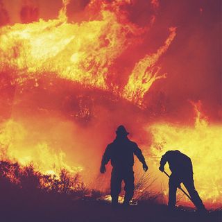 Orman Yangınları ve İklim Krizi