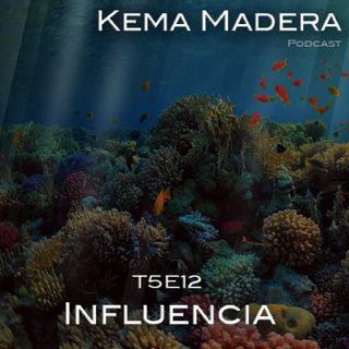 5x12 - Influencia