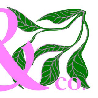 La Enredadera & co.