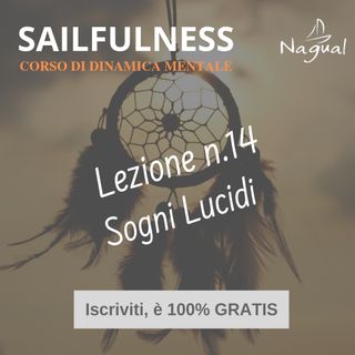 27 - SF14 | Sogni Lucidi