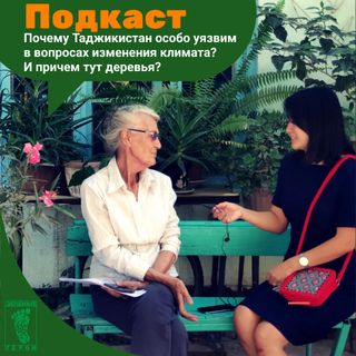 Почему Таджикистан уязвим к изменению климата? И причем тут деревья