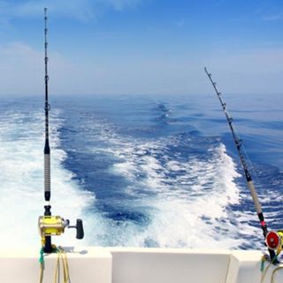 Gulf Shores Fishing