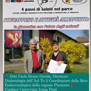4 Passi di Salute nel Parco - Sovrappeso e attività all'aperto Dott.Carlo Bruno Giorda Direttore Diabetologia ASL TO  5