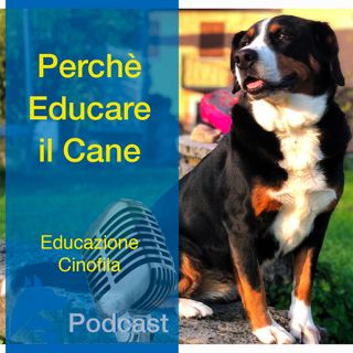 Perché Educare il Cane?