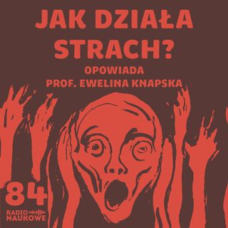 #84 Strach, lęk, fobie – jak boi się mózg i czy można tym sterować? | prof. Ewelina Knapska