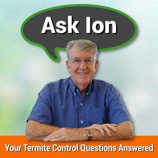 Ask Ion - How To Estimate The Number Of Termite Bait Stations For Your Home