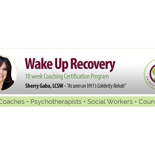 The Breaking Bad of Breaking Habits With Sherry Gaba