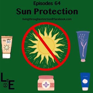 64 Summer Protections Part 1; protection from the sun