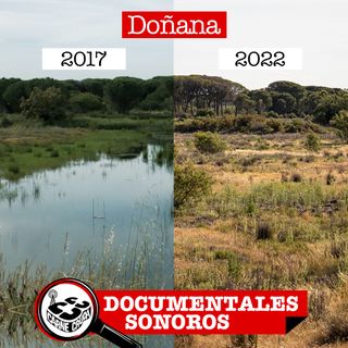 Doñana: cómo secar el mayor humedal de Europa (DOCUMENTALES - CARNE CRUDA #1066)