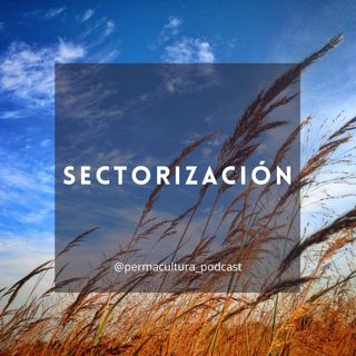 T1E21 - Sectorización