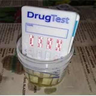 Drug testing industry expert on impact of marijuana legalization. #CrazyBids shines a light, literally, on turtles.