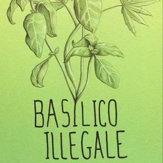 Basilico Illegale