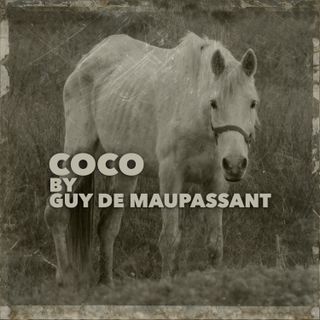 Coco By Guy de Maupassant