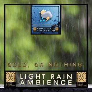 Light Rain Ambience | Relaxing Rain Sound