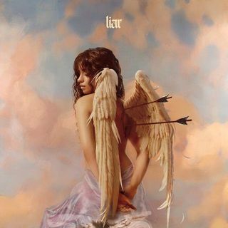 Camila Cabello-Anyone