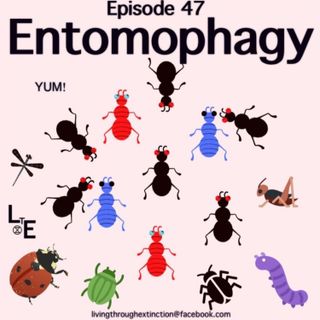 47 Entomophagy