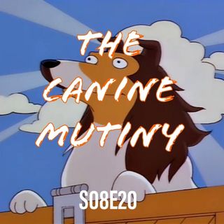 139) S08E20 (The Canine Mutiny)