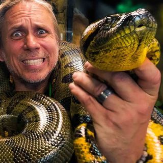 1207. 'Snake Whisperer' Brian Barczyk Has 30,000 Snakes - And The Women Love It.