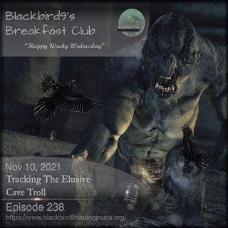 Tracking The Elusive Cave Troll - Blackbird9 Podcast