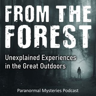 276: From The Forest – Bigfoot, Pale Humanoids & A Prehistoric Bird | Paranormal Mysteries