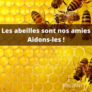 Les abeilles sont nos amies, Aidons les !