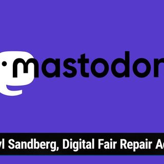 TNW 259: The Mastodon in the Room - Twitter, VR in Your Car, PS VR2