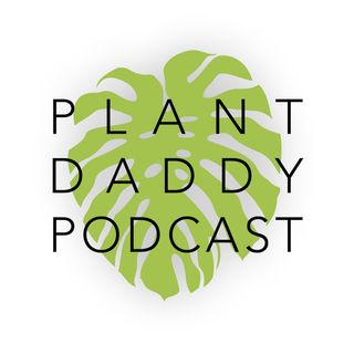 Episode 37: Mounting Plants, with James Gray