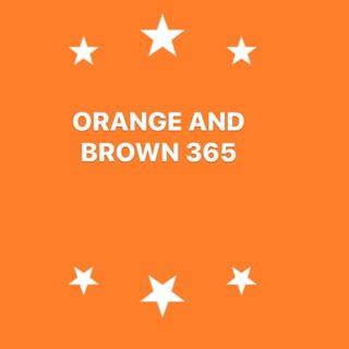 Orange and Brown 365 Episode 6