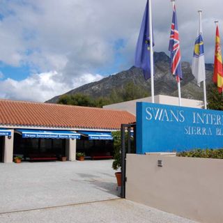 Swans International - Year 6