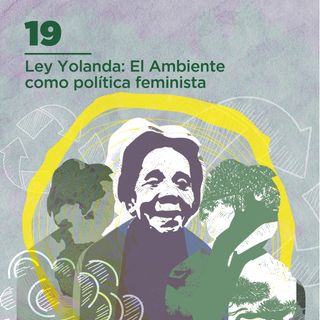 19. Ley Yolanda: el ambiente como política feminista