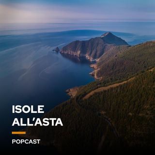 Isole all'asta