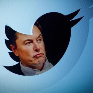 Northern vs Southern Holiday - Long Term Jab Damage - Elon Musk Runs Poll On Twitter