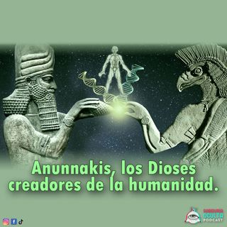 Anunnakis, Dioses creadores de la humanidad.