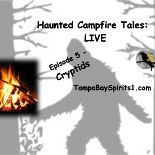 HAUNTED CAMPFIRE TALES - Episode 5 - CRYPTIDS
