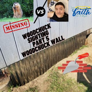 Woodchuck Sighting Part 5 "Check out the Wall"